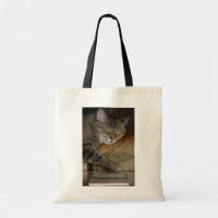 Schläfrige Miezekatze-Buch-Tasche