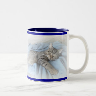 Schläfrige Miezekatze Zweifarbige Tasse
