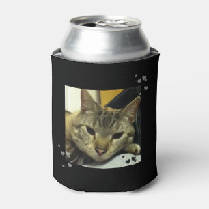 Schläfrige siamesische Tabby-Katze kann cooler Dosenkühler
