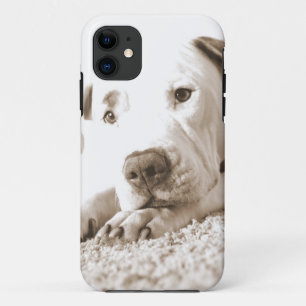 schläfriger freundlicher weißer Pitbull hasst Tat Case-Mate iPhone Hülle