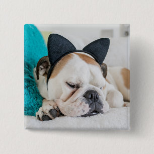 Schläfriger Hund Getty Bild-  mit Katzen-Stirnban Button