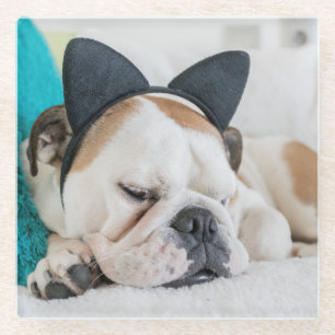 Schläfriger Hund Getty Bild-  mit Katzen-Stirnban Glasuntersetzer