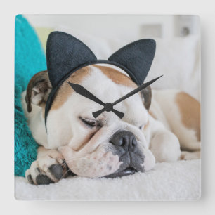 Schläfriger Hund Getty Bild- mit Katzen-Stirnban Quadratische Wanduhr