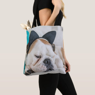 Schläfriger Hund Getty Bild-  mit Katzen-Stirnband