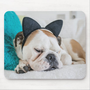 Schläfriger Hund Getty Bild- mit Katzen-Stirnband Mousepad