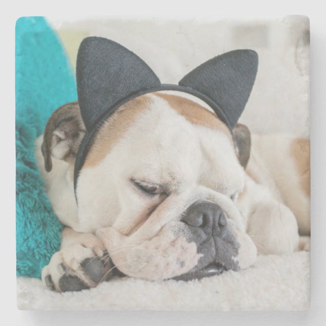 Schläfriger Hund Getty Bild-| mit Katzen-Stirnband Steinuntersetzer (Vorderseite)