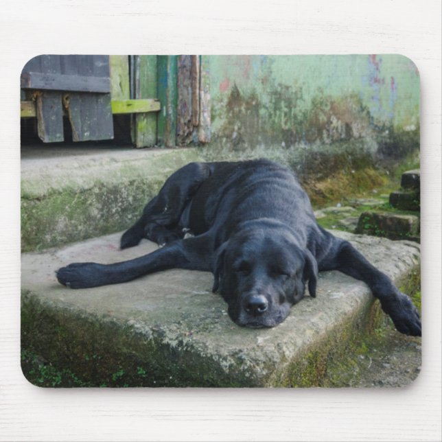 Schläfriger Hund Mousepad (Vorne)