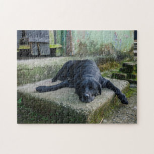 Schläfriger Hund Puzzle