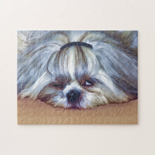 Schläfriger Hund Shih Tzu Puzzle