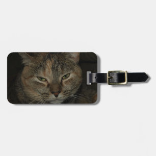 Schläfriger Katzen-Gepäckanhänger Gepäckanhänger