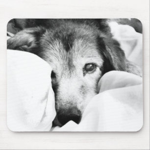 schläfriger Kuschelhund auf dem Bett in schwarz we Mousepad