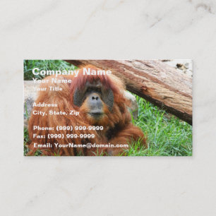 Schläfriger Orang-Utan Visitenkarte