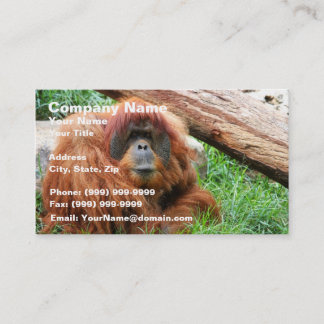 Schläfriger Orang-Utan Visitenkarte