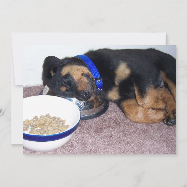 schläfriger Rottweiler Einladung (Vorderseite)