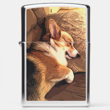 Schläfriger WaliserCorgi