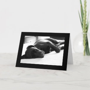 Schläfriger Welpe Labrador retriever Karte