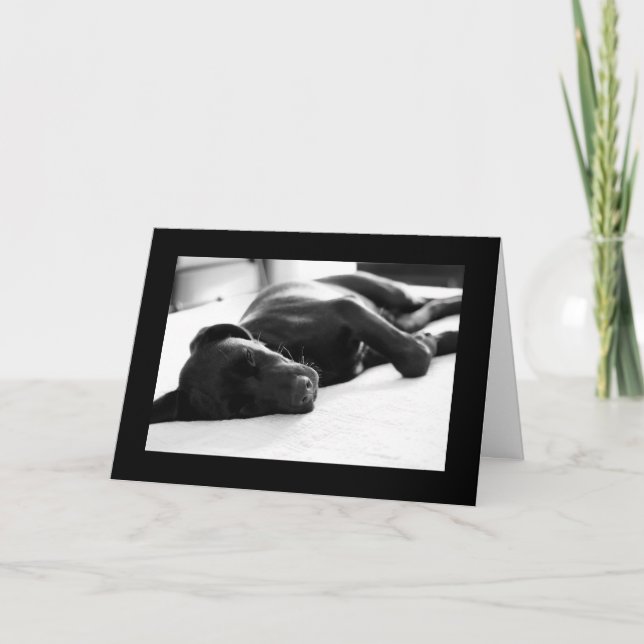 Schläfriger Welpe Labrador retriever Karte (Vorderseite)