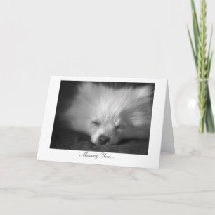 Schläfriger Welpe - vermisst Sie Karte