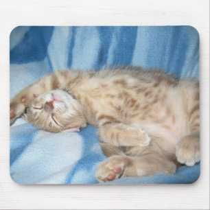 Schläfriges Kätzchen Mousepad