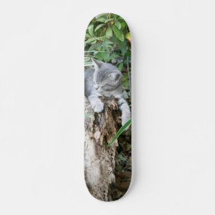 Schläfriges Kätzchen-Skateboard Skateboard