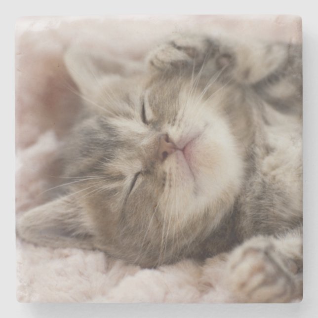 Schläfriges Kätzchen Steinuntersetzer (Vorderseite)