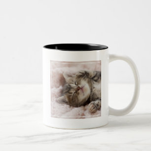 Schläfriges Kätzchen Zweifarbige Tasse