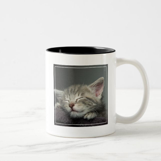 Schläfriges Kätzchen Zweifarbige Tasse (Rechts)