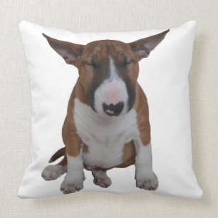 Schläfriges kleines Bullterrier-Wurfs-Kissen Kissen