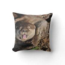 Schläfriges Otter-Foto