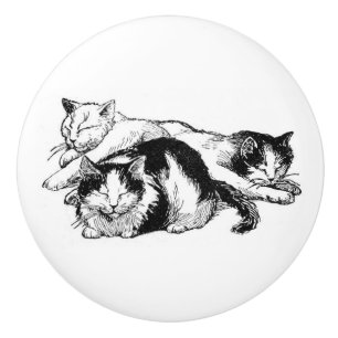 Schläfriges Schwarzweiss-Kätzchen der Katzen   Keramikknauf