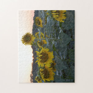 SCHLÄFRIGES SONNENBLUME-PUZZLESPIEL PUZZLE