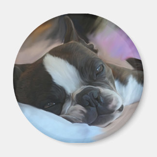 Schläfrigkeit Magnet