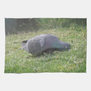 Schlaftaube Küchentuch