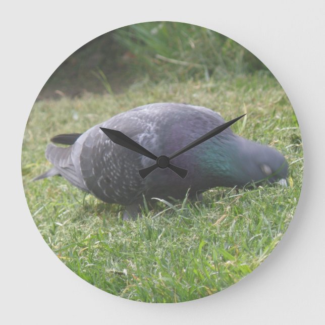 Schlaftaubenmanschette Große Wanduhr (Vorderseite)