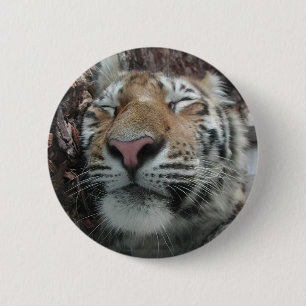 Schlaftiger Button