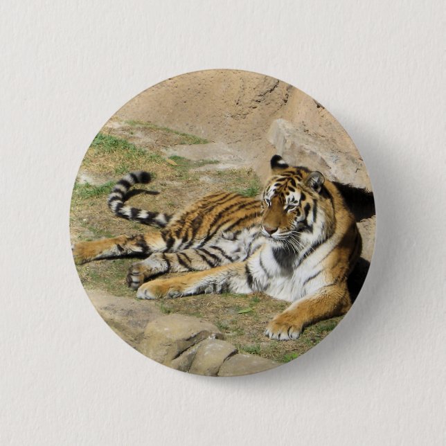 Schlaftiger Button (Vorderseite)