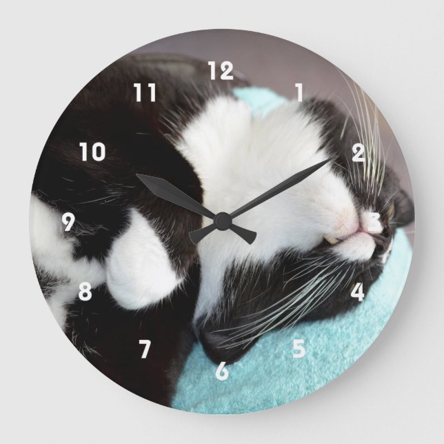 Schlaftuxedo Katzenkinnansicht kitschiges Bild Runde Wanduhr (Vorderseite)