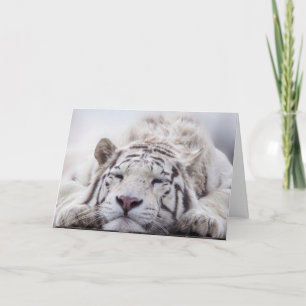 SCHLAFWEISSE TIGER BLANK GREETING CARD KARTE