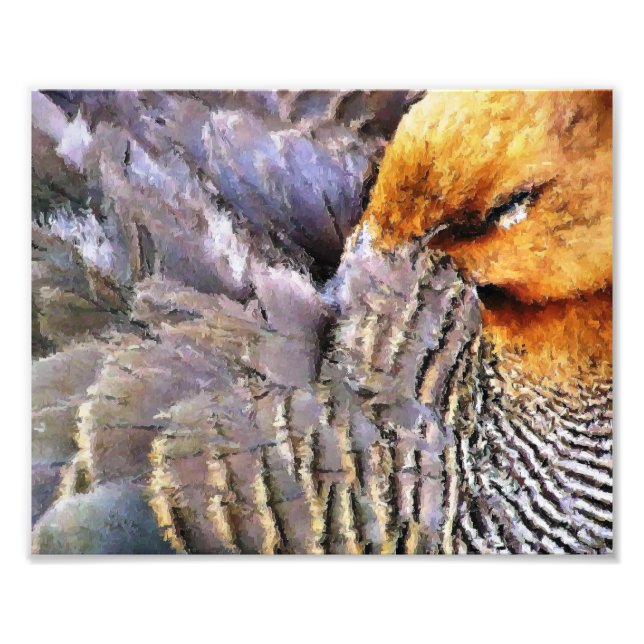 SCHLAFZAUBER FOTODRUCK (Vorne)