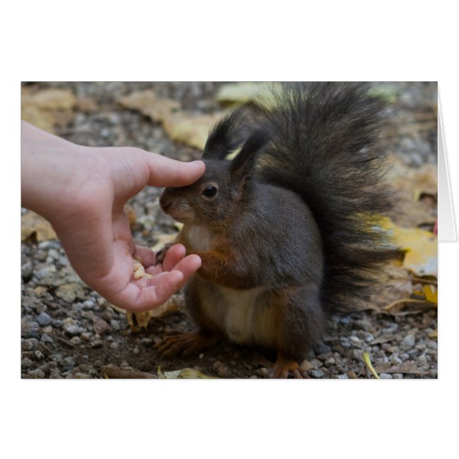 Schlag (Vorderseite (Horizontal))