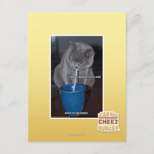 Schlag-Blasen in ur Milch Postkarte