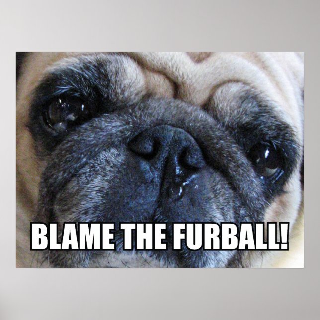 SCHLAG DEN FURBALL! ALLERGY MEME POSTER (Vorne)