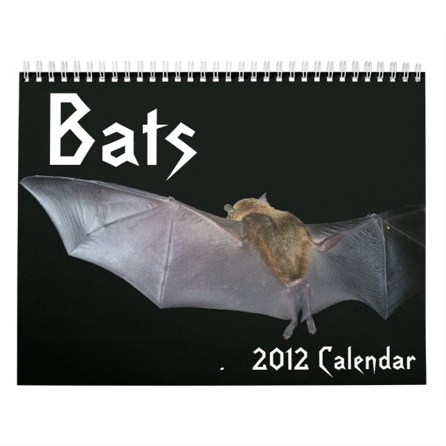 Schläger-Kalender Kalender (Titelbild)