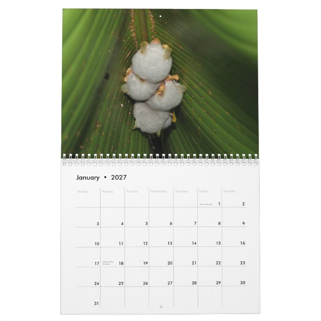 Schläger-Kalender Kalender (Jan 2027)