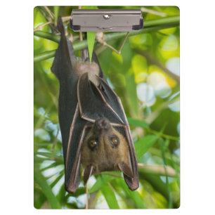 Schläger Klemmbrett