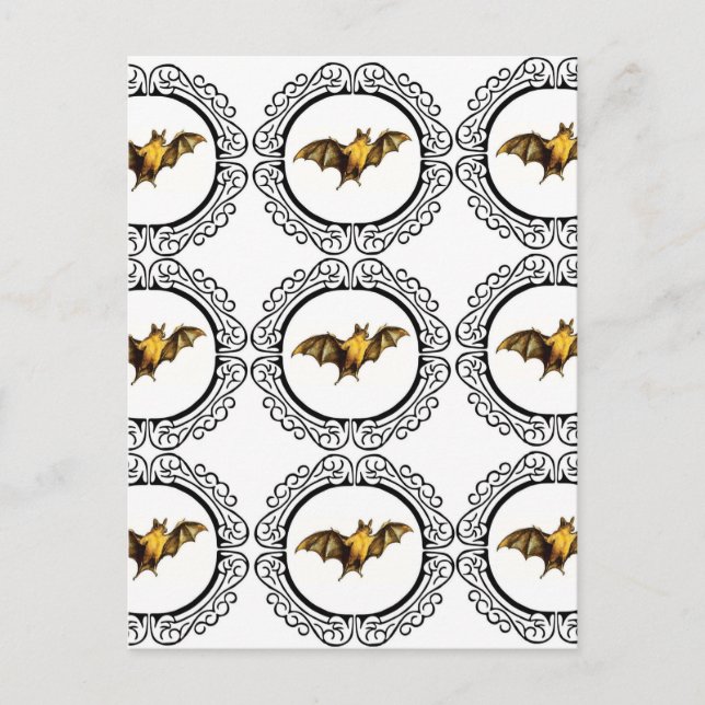 Schläger-Kreise Postkarte (Vorderseite)