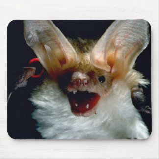 Schläger Mousepad