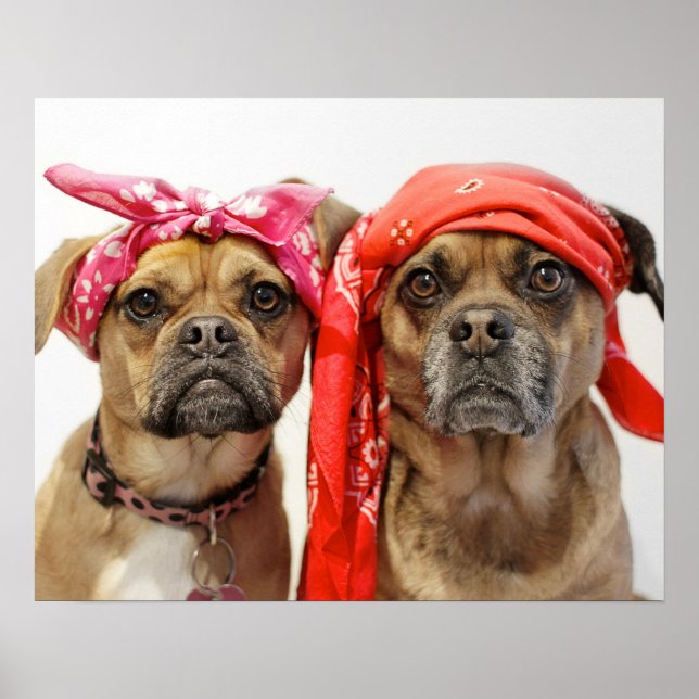 Schläger Poster (Vorne)