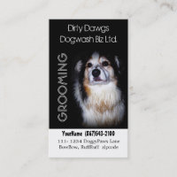 Schlammiger HundeGroomer oder Hundewäsche