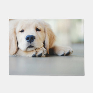 Schlampe, Golden Retriever Welpe Fußmatte